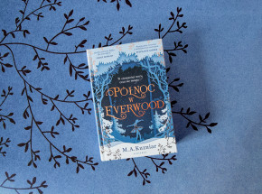 „Północ w Everwood” [RECENZJA]