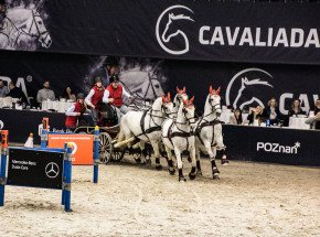 Perlage CAVALIADA Tour wraca do Poznania – wielkie jeździeckie emocje już 4–7 grudnia