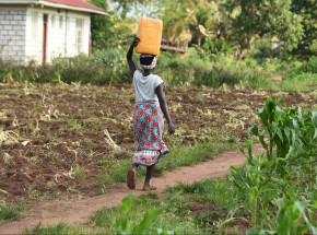 DR Konga: 21 pracowników WHO podejrzanych o wykorzystywanie seksualne 