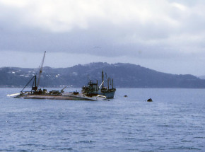 Bangladesz: w katastrofie statku zginęły co najmniej 3 osoby