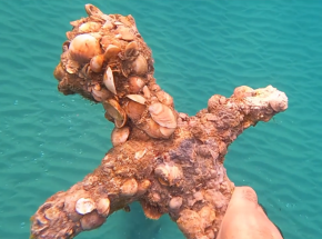 Izrael: nurek znalazł 900-letni miecz krzyżowca