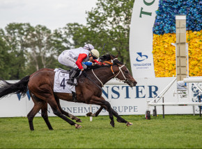 Jeździectwo - wyścigi: Jolly Jumper z Westminster Rulera