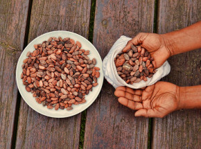 Wybrzeże Kości Słoniowej: 22 osoby skazane za handel dziećmi