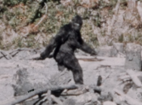 Oklahoma: podniesiono nagrodę za schwytanie Wielkiej Stopy