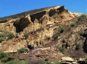 Dinozaury zginęły wiosną