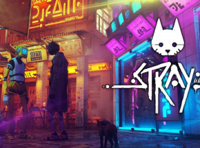 Najlepsze gry dla kociarzy