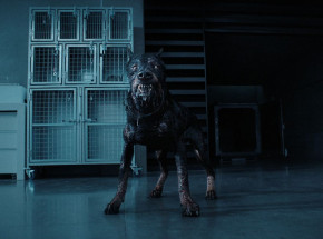 Pies najgorszym wrogiem człowieka w kolejnym fragmencie „Resident Evil”