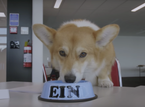 Aktorski Cowboy Bebop z muzyką oryginalnej kompozytorki i… corgi na planie