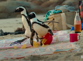 "Penguin Town" - oto oficjalny zwiastun