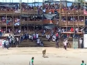 Kolumbia: 6 osób zginęło wskutek zawalenia się trybun podczas walk byków 