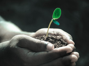 Nowy Jork: zalegalizowano kompostowanie ludzkich zwłok