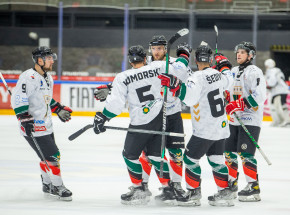 PHL: zwycięstwo lidera z wiceliderem i trzynaście goli w Nowym Targu