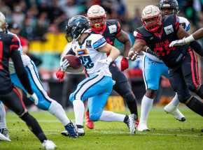 ELF: czwarta kolejna porażka Panthers Wrocław, play-offy poza zasięgiem?