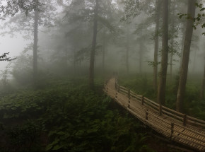 Turcja: mężczyzna przypadkowo dołączył do grupy poszukiwawczej, która go szukała