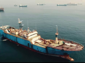 „Seaspiracy" - zwiastun dokumentu o przemyśle rybackim