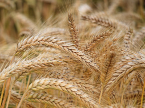 T. Kaczka: wyciągniemy konsekwencje wobec Polski, Słowacji oraz Węgier 