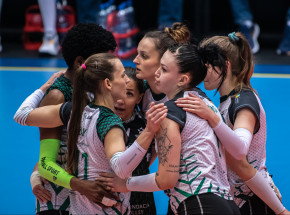 Karuzela transferowa: Honorio w Chemiku, #Volley odkrywa kolejne karty