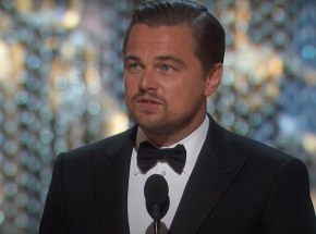 Londyńscy naukowcy nazwali drzewo imieniem Leonarda DiCaprio