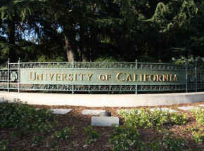 Kalifornia: na terenie kampusu uniwersyteckiego znaleziono ludzki szkielet