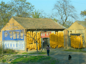 Chiny: mężczyzna zdetonował bombę w biurze zarządzającym gruntami