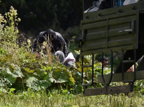 Chojnice: 50 tys. zł na pomoc migrantom na granicy z Białorusią