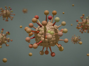 Aplikacja internetowa ocenia ryzyko rozprzestrzeniania się nowych wirusów