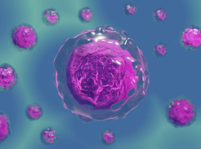 Naukowcy uzyskują wgląd w wewnętrzne życie komórek