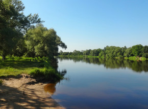 Lubelskie: rozbito grupę przestępczą, która przemycała papierosy przez Bug.