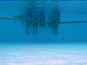 Piłka wodna - MŚ: Holenderki mistrzyniami świata