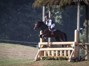 Jeździectwo - MŚ: Jung i drużyna niemiecka na czele