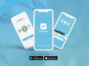 Petgram – pierwszy polski portal społecznościowy dla zwierząt