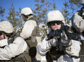 Szwedzka armia postawiona w stan podwyższonej gotowości