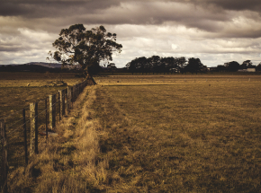 Indie: odnaleziono ciała 2 nastolatek na farmie