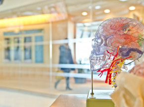 Medytacja: zbadane zmiany neurologiczne mózgu