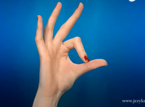 Piła: tablice do nauki języka migowego