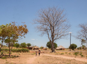 Zambia: znaleziono 27 ciał porzuconych przy drodze