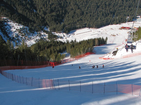 Narciarstwo alpejskie - MŚJ: komplet medali w supergigancie dla Austrii. Dominacja!