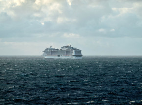 Australia: setki pasażerów utknęło na statku z powodu wykrycia grzyba na kadłubie