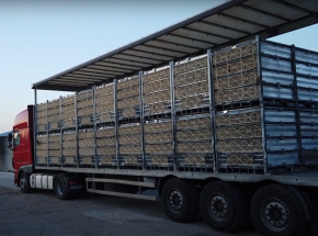 Niemcy: ciężarówka transportująca 6 tys. sztuk drobiu przewróciła się