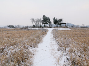 Korea Północna: ogłoszono alarm w związku z niskimi temperaturami powietrza