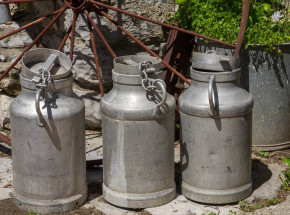 Białka mleka mogą pomóc zwalczyć wirusa SARS-CoV-2