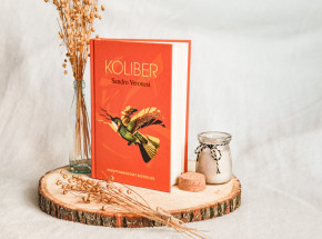 Niespieszna historia z mnóstwem emocji - „Koliber” Sandro Veronesi [RECENZJA]