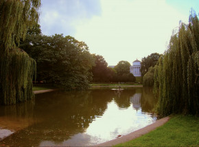 Kino plenerowe w Ogrodzie Saskim