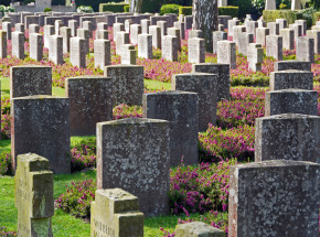 Odkryto szczątki ofiar nazistowskich egzekucji w polskiej „Dolinie Śmierci”