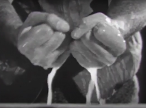 „Epokowy” artykuł o znaczeniu mycia rąk na sprzedaż