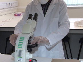 Mikroskopowa analiza włosów - fenomen kryminalistyki XX wieku czy narzędzie do skazywania niewinnych?