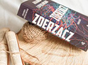 Blisko 500 stron świetnie skonstruowanego thrillera - „Zderzacz” Joanny Łopusińskiej [RECENZJA]