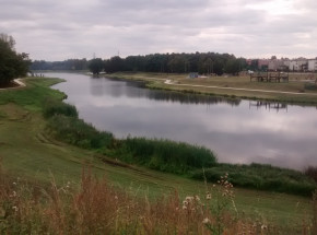 Śląskie: z zalewu wyłowiono zwłoki 34-letniej kobiety