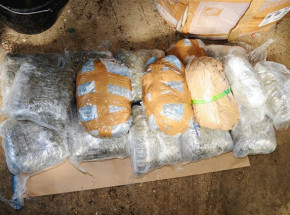 Czechy: odkryto 840 kg kokainy ukrytej w skrzyniach z bananami