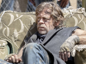 Z „Fargo” do „Planety małp” - William H. Macy w obsadzie „Kingdom of the Planet of the Apes”